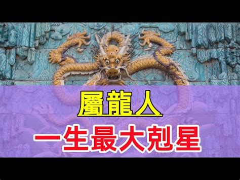 屬龍 名人|分類:屬龍的維基人